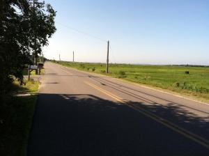 1044597_10200338815209022_692436281_n