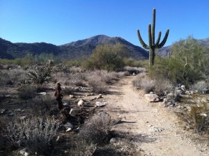 1502564_10201273232368867_1293532440_n