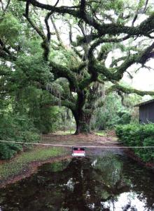 10329292_10202115381182061_521937356255793115_n